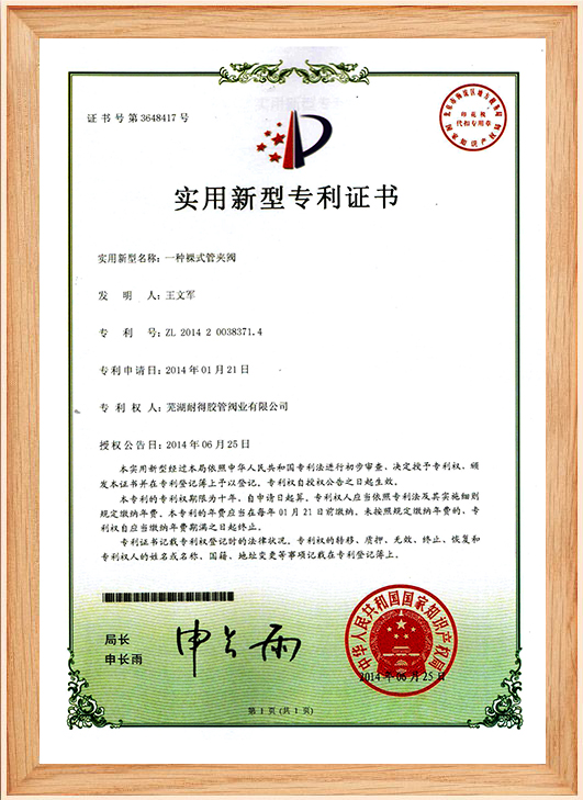 專(zhuān)利證書(shū)11